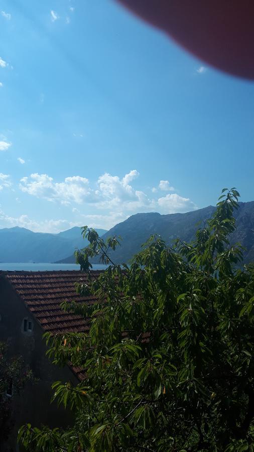 Apartments Katarina Kotor Exterior foto
